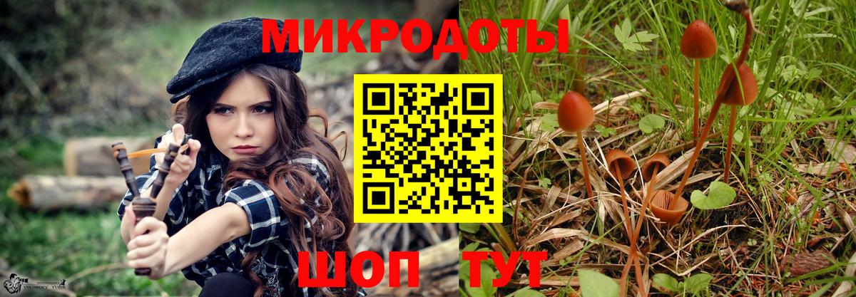 Геленджик  Псилоцибиновые грибы мицелий  Вход с VPN 